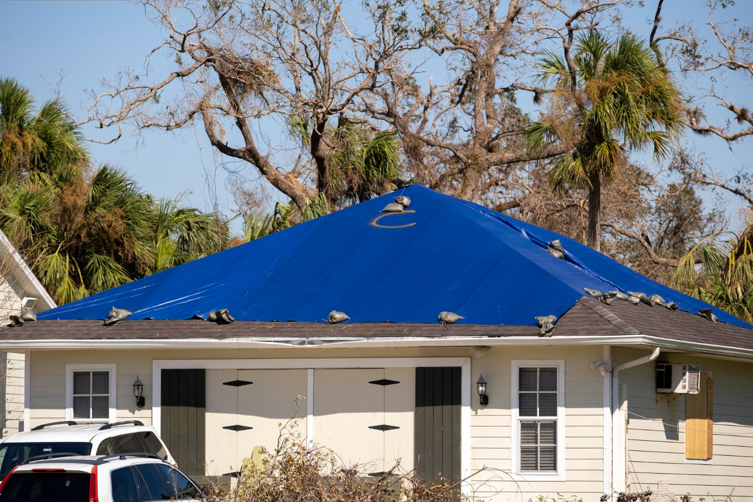 What is Roof Tarping