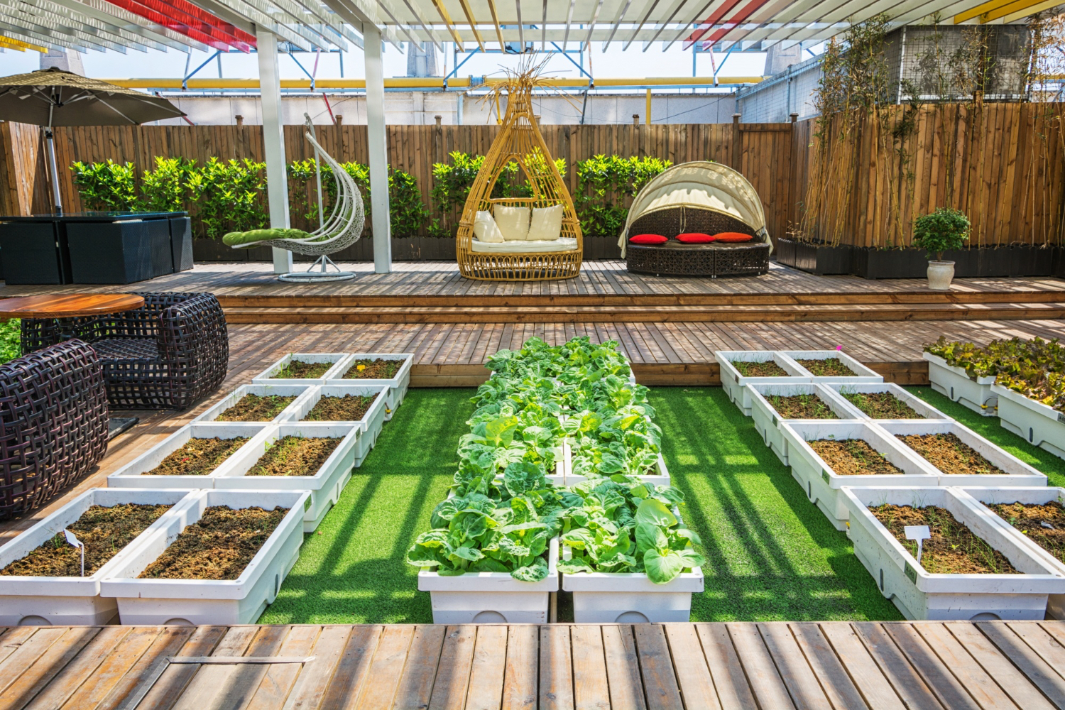 Limited Grassy Areas in Outdoor Landscaping