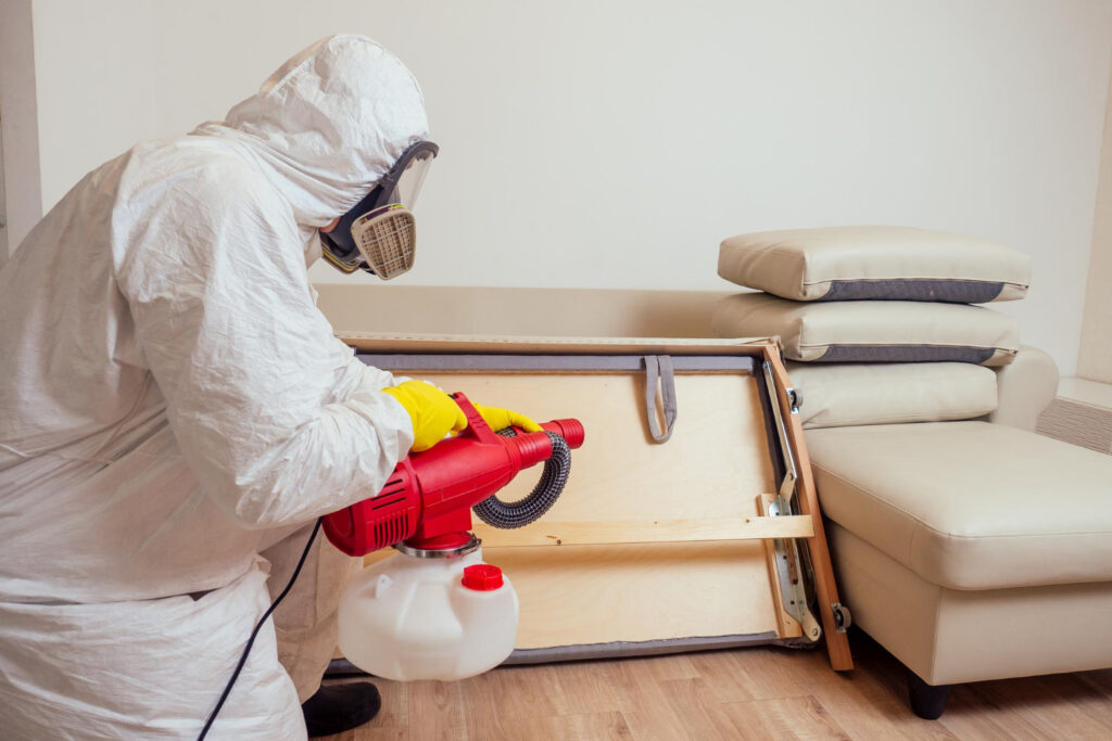 Call for Same-Day Pest Control