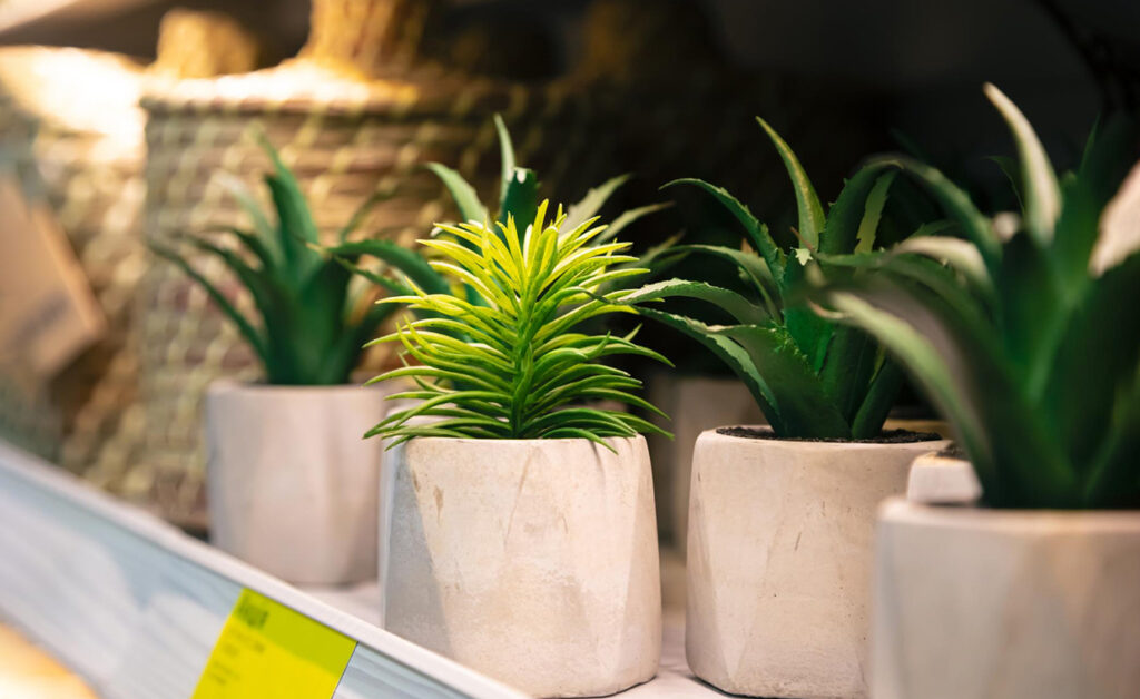 FRP Planters