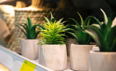 FRP Planters