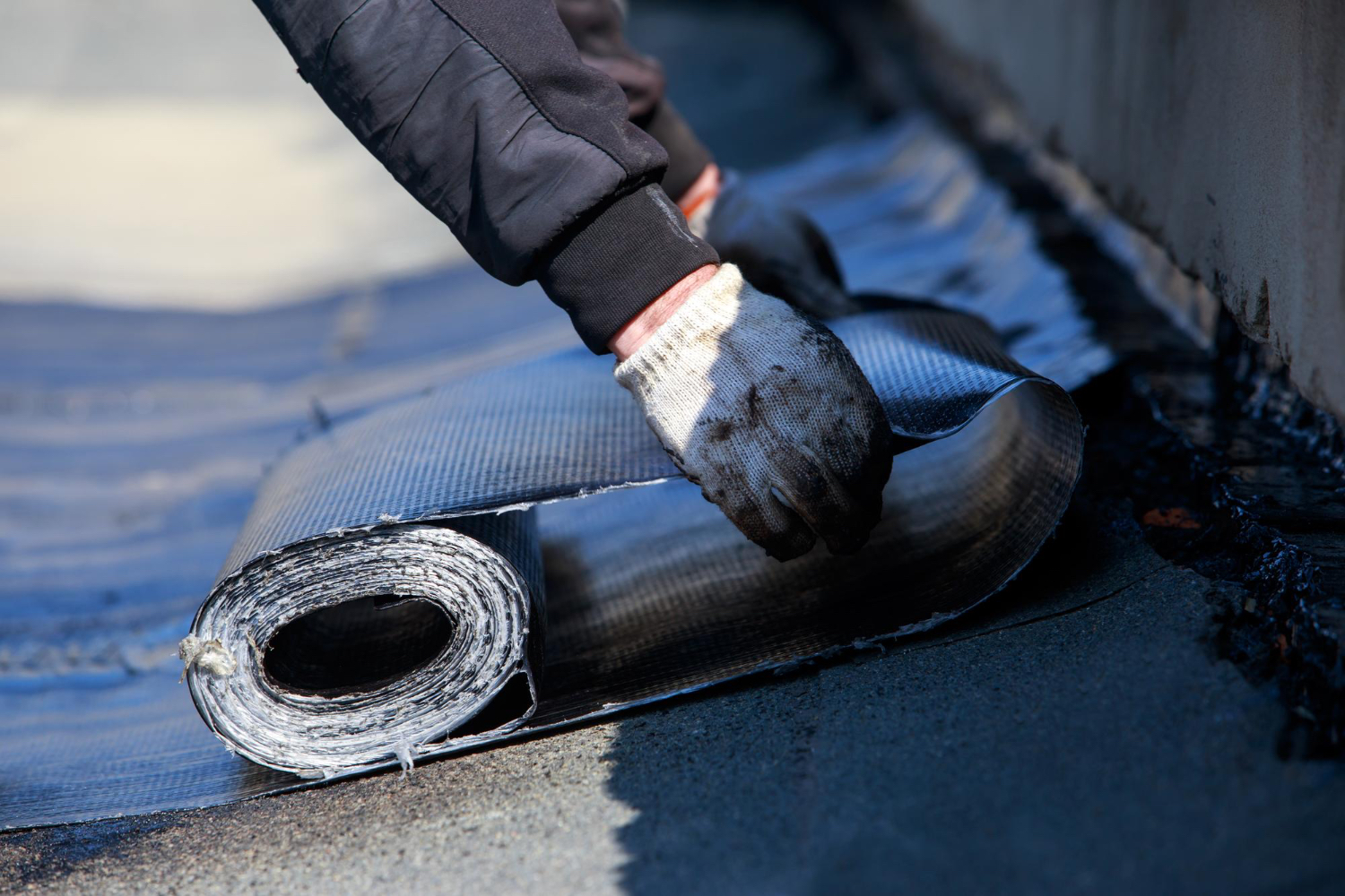 Liquid Versus Sheet Membranes