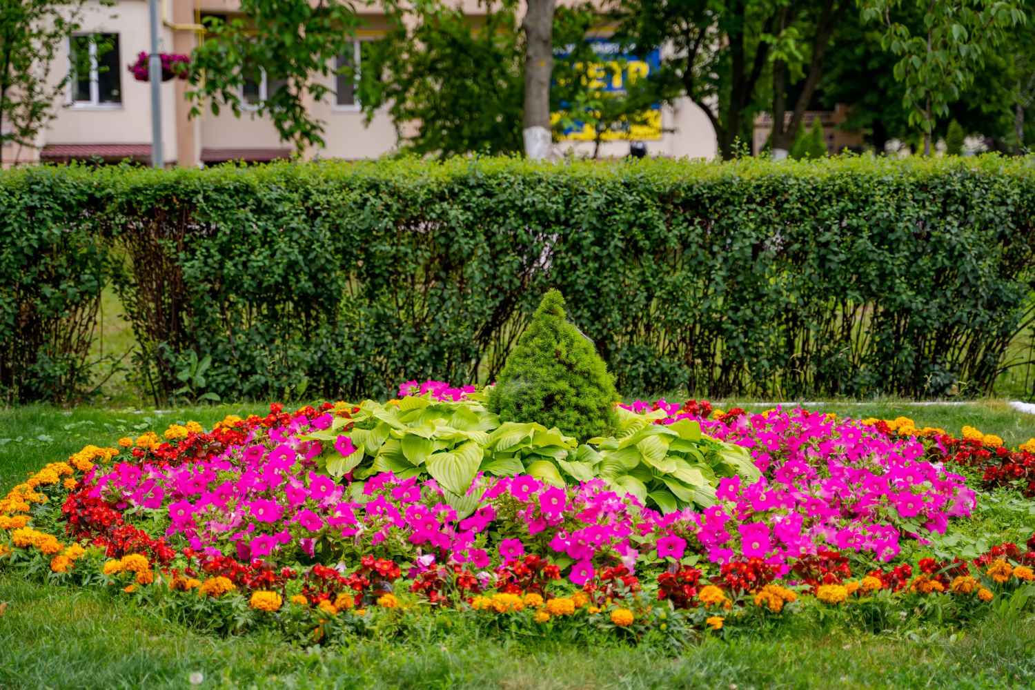 Colourful Flower Beds