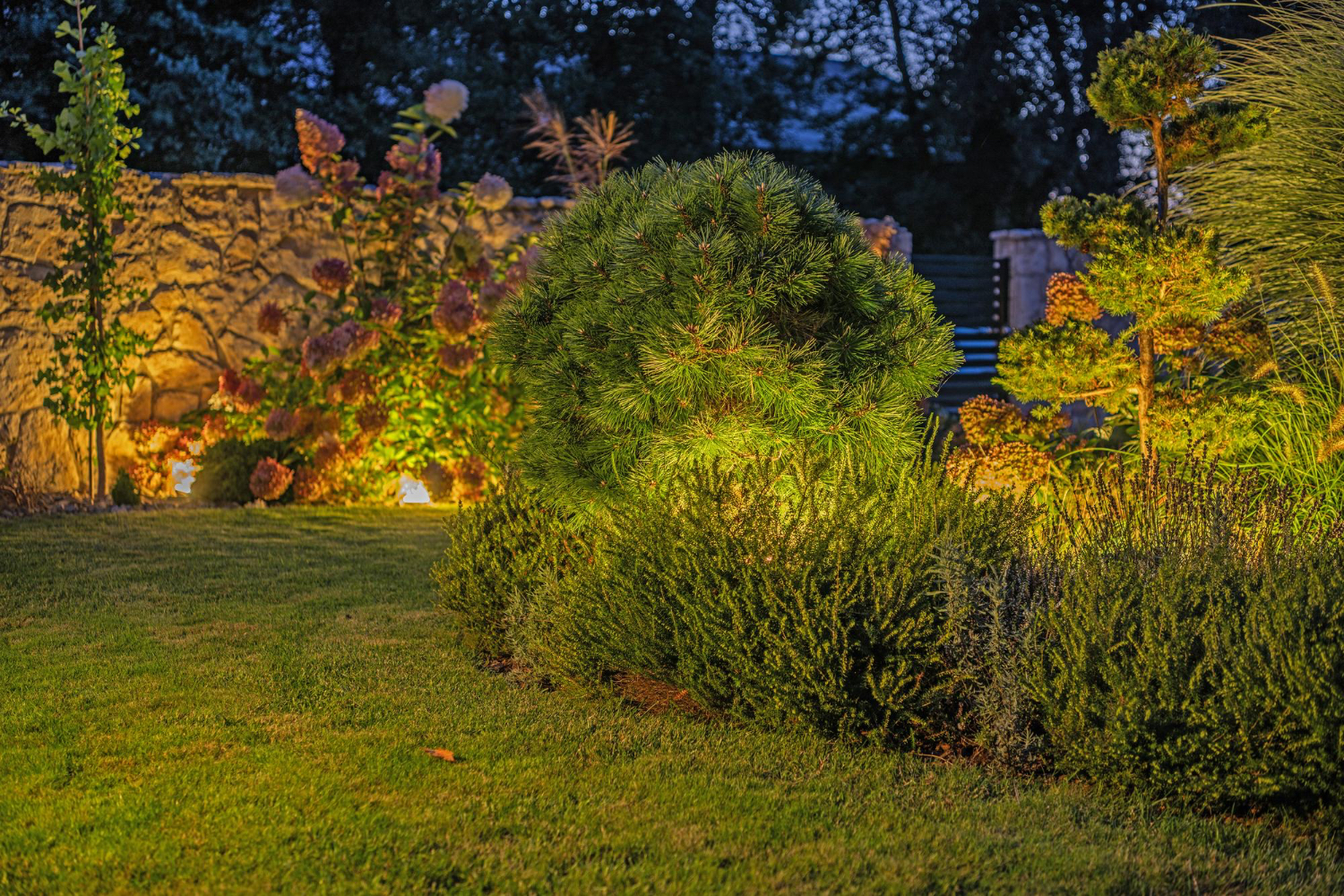 Landscape Outdoor Lighting