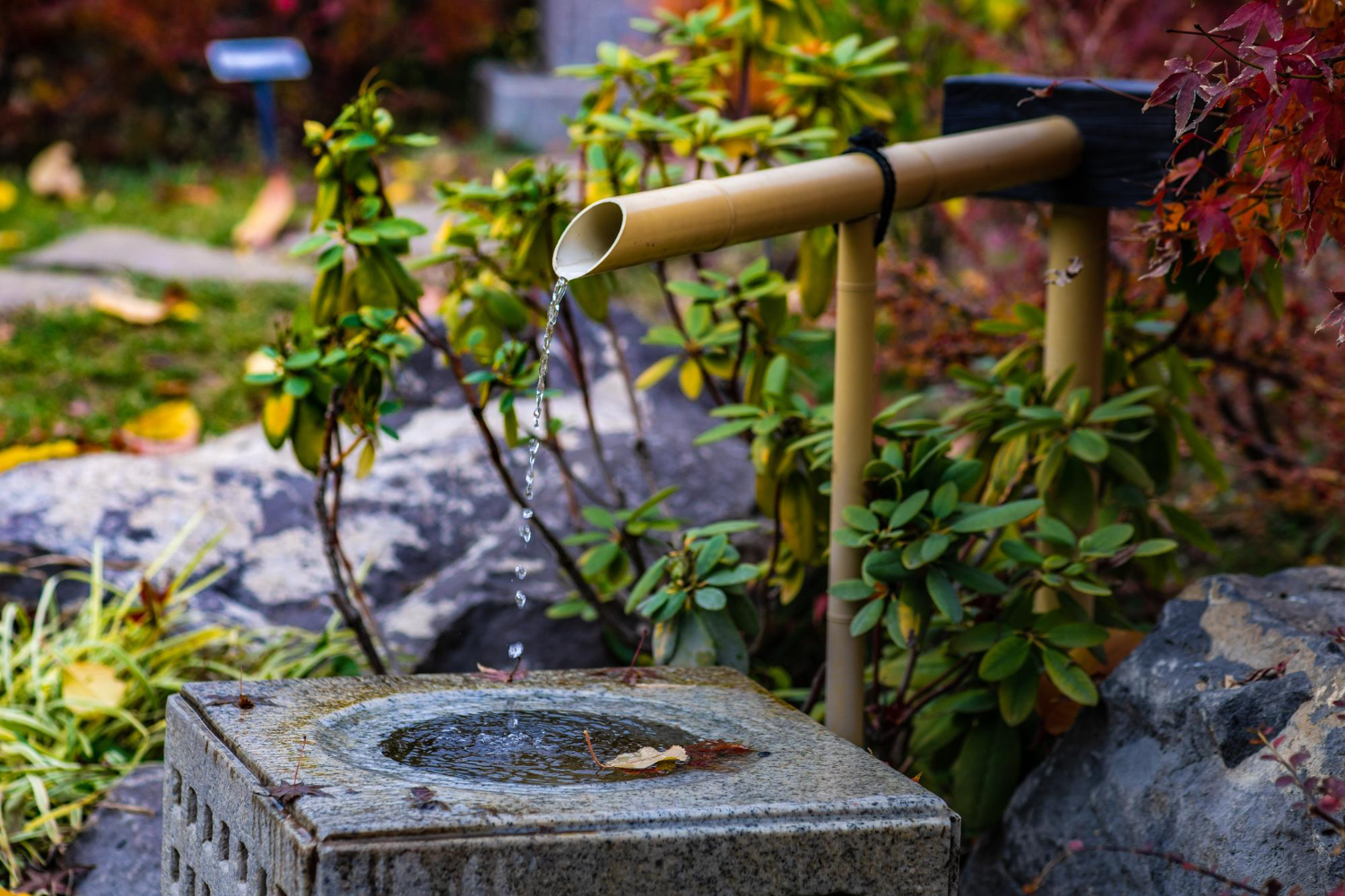Landscape with Water Feature