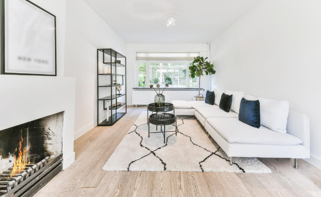 Living Room Rug