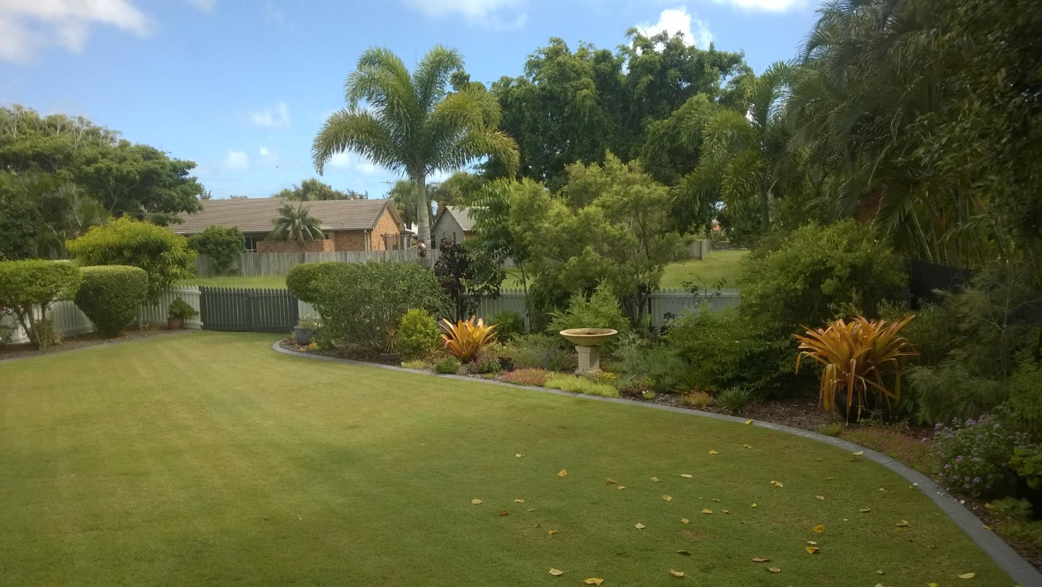 Lush Greenery Landscape