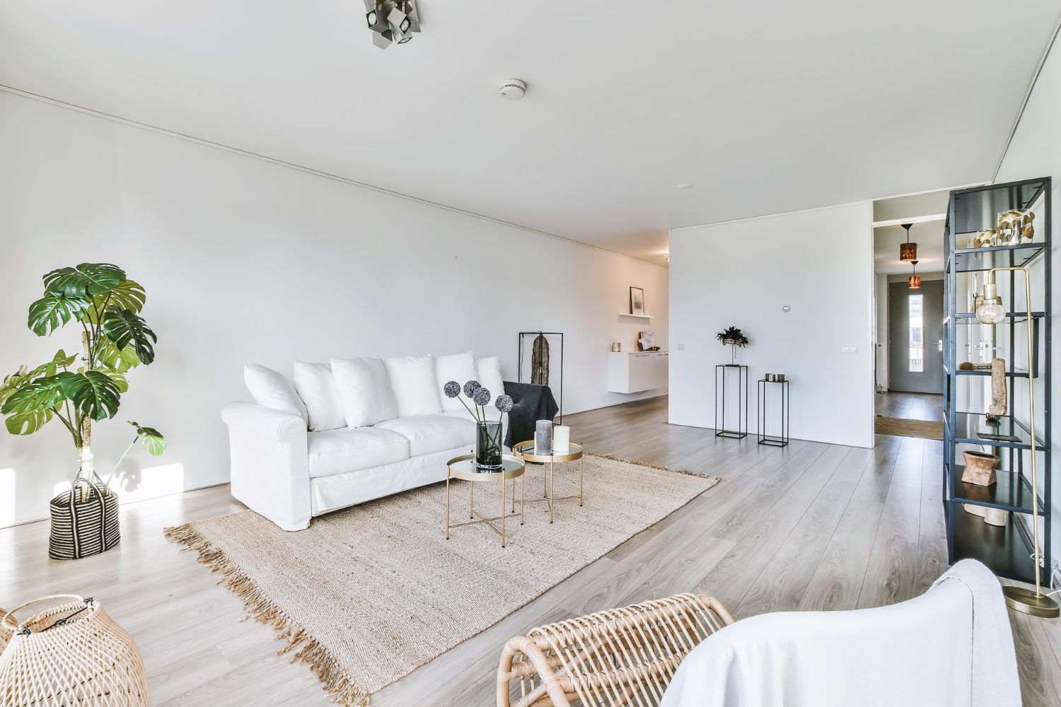 Natural Fibre Rug