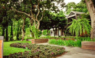 Outdoor Landscaping Ideas