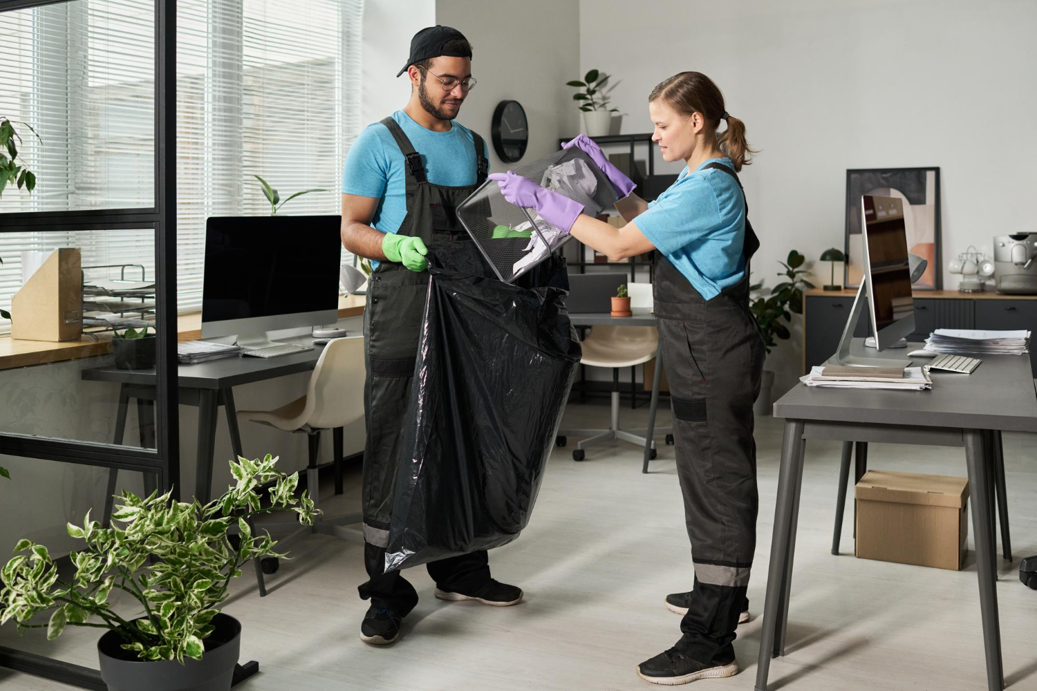 Professionals Working to Declutter