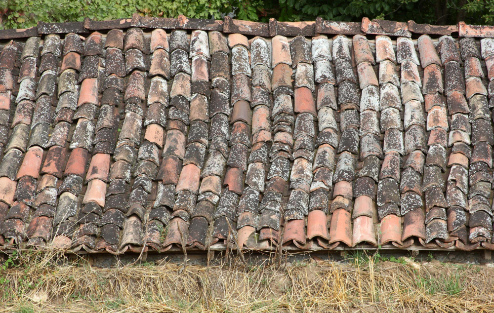 Sagging Roofline