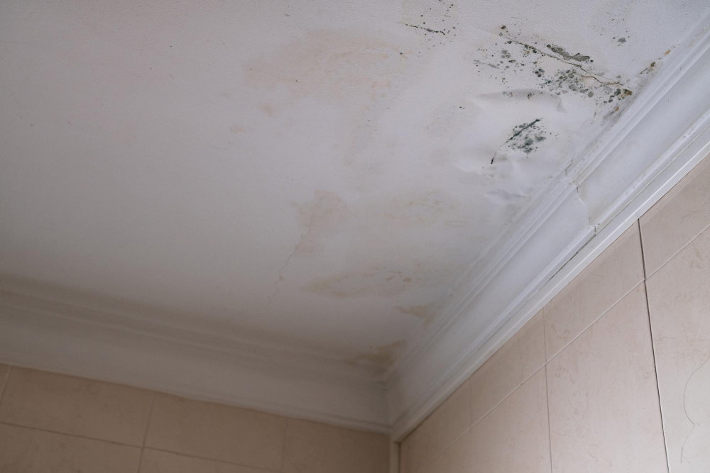 Ceiling Stains Caused by Roof Damage