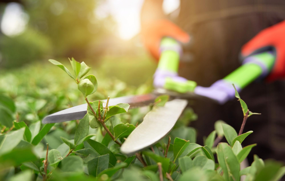 Cut, Dig or Spray