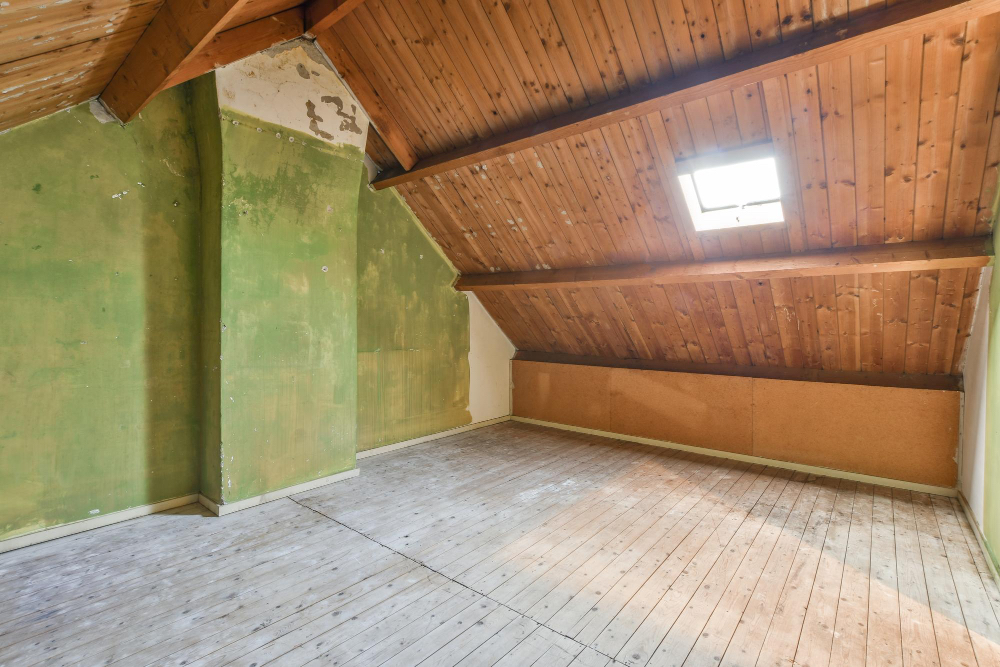 Damp Attic