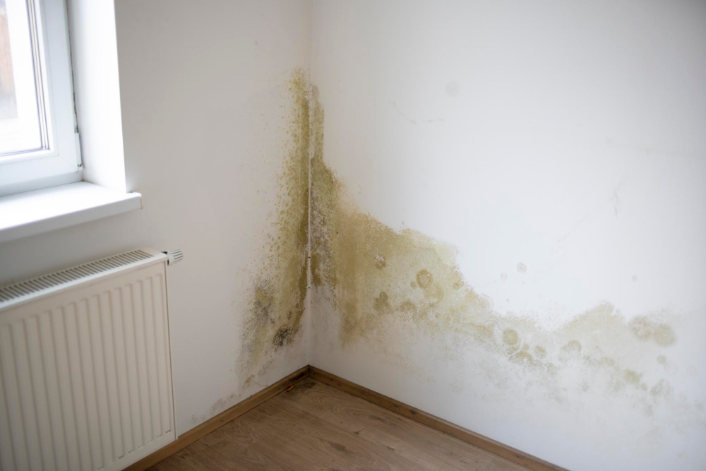 Damp Patches Due to Water Ingress