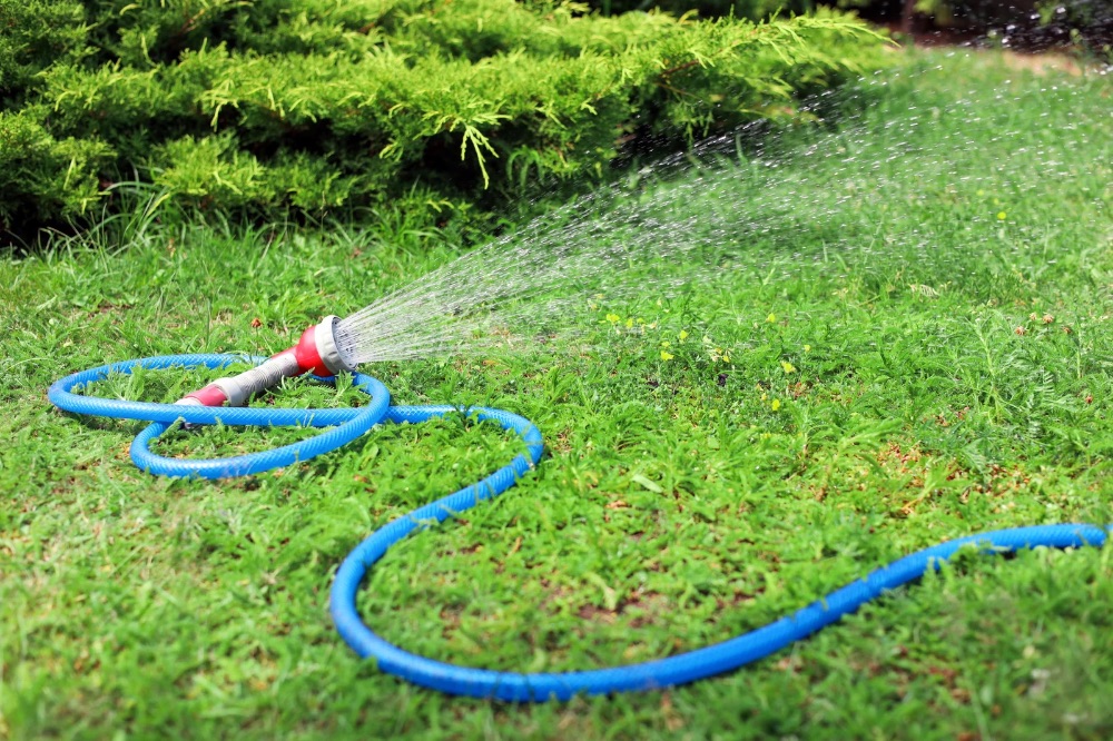 Garden Hose Lying on Ground