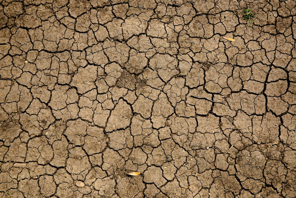 Shrinkage Cracks in Clay Soil