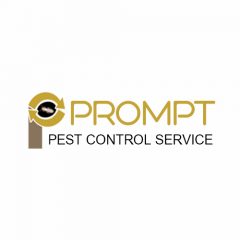 Prompt Pest Control Service